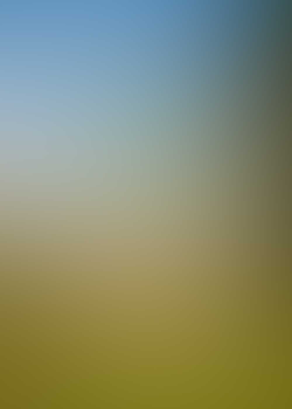 Free Website , Android APP Bootstrap 